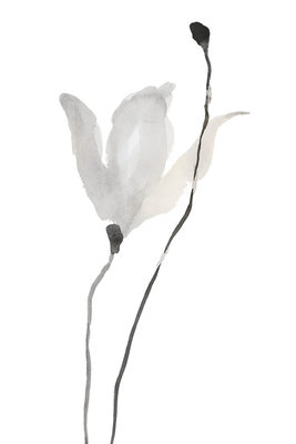 Image Not Available